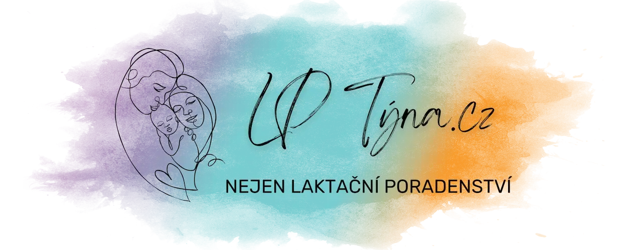 LPTyna logo